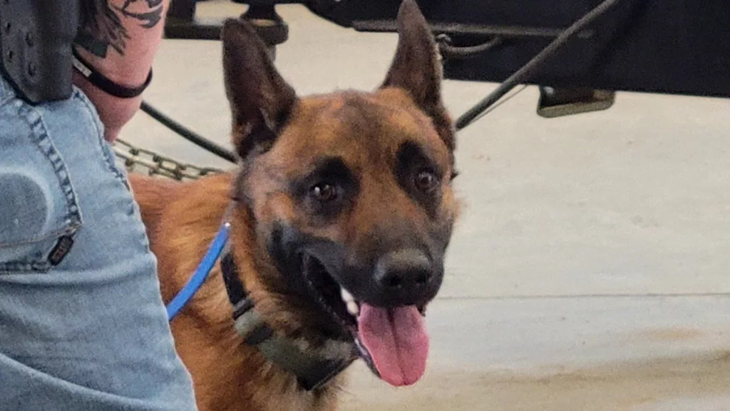 Area Law Enforcement K-9 Training at Fire District station