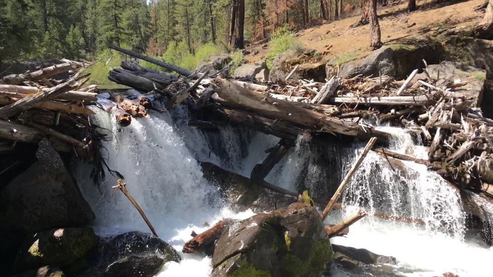 Whychus Creek, renamed in 2006, was previously one of several locations in Oregon named after a slur used against Indigenous women. House Bill 3532 aims to speed the process of removing offensive titles from remaining sites. (Julia Shumway/Oregon Capital Chronicle)