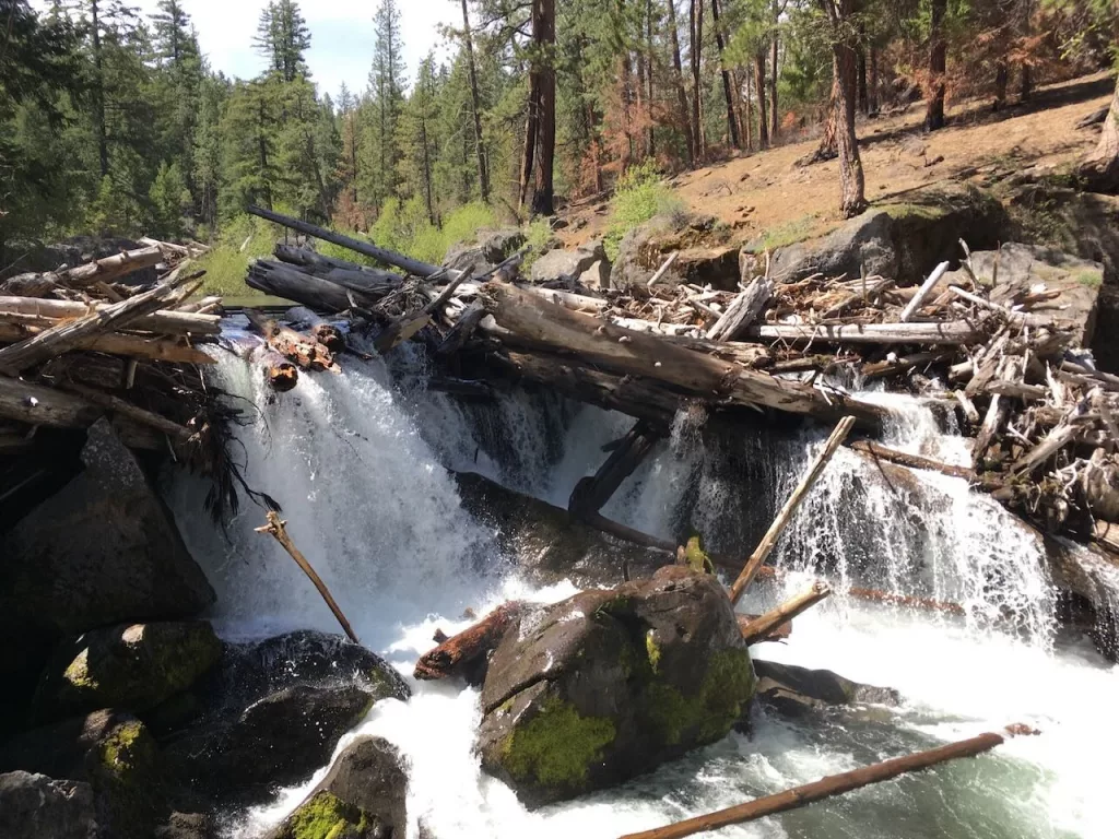 Whychus Creek, renamed in 2006, was previously one of several locations in Oregon named after a slur used against Indigenous women. House Bill 3532 aims to speed the process of removing offensive titles from remaining sites. (Julia Shumway/Oregon Capital Chronicle)