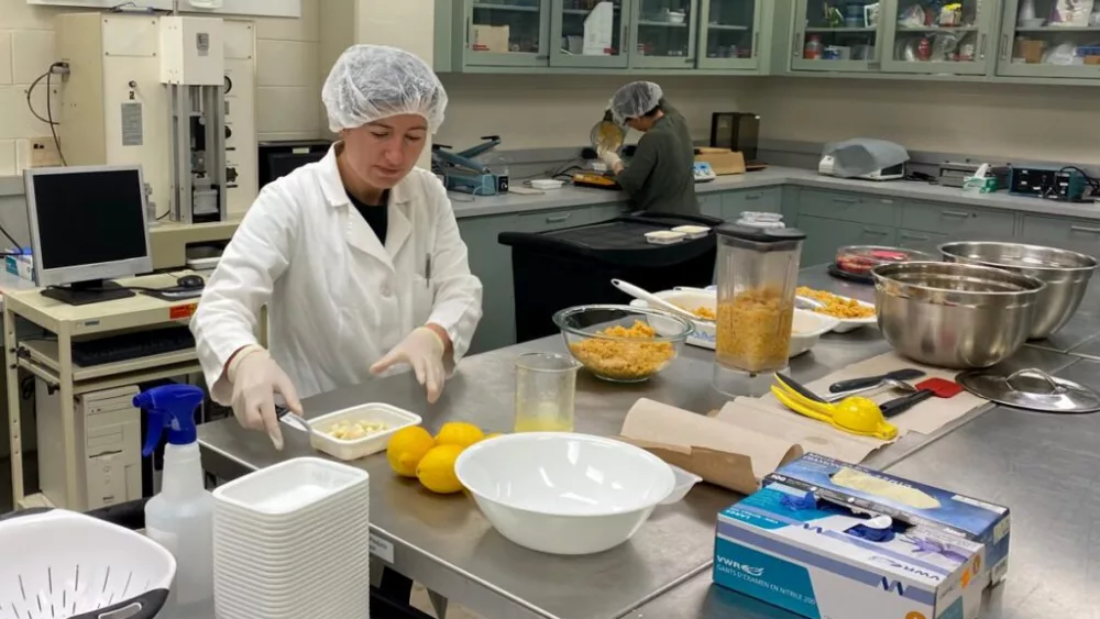 Former visiting researcher Burcu Tenderis works on the recipe for lentil hummus in a WSU lab. (Photo courtesy of Burcu Tenderis)