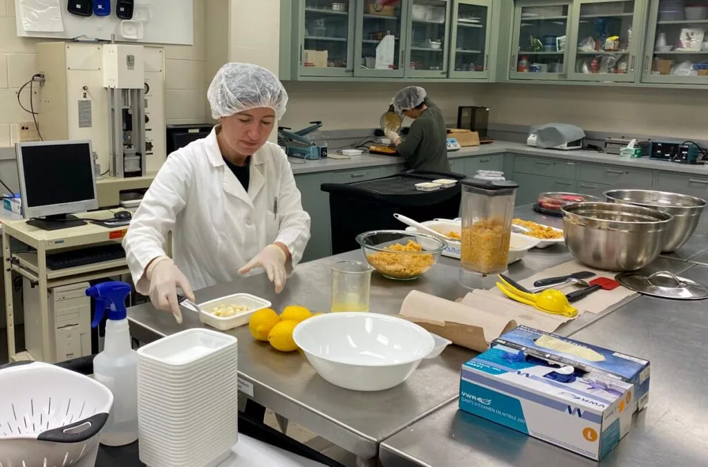Former visiting researcher Burcu Tenderis works on the recipe for lentil hummus in a WSU lab. (Photo courtesy of Burcu Tenderis)
