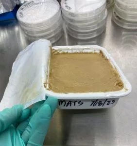 Lentil hummus after undergoing the microwave sterilization (MATS) process. It was then subjected to other tests to see how long it was safe from pathogens. The process was found to keep the hummus safe for up to two years at room temperature if unopened. (Photo courtesy of Burcu Tenderis)