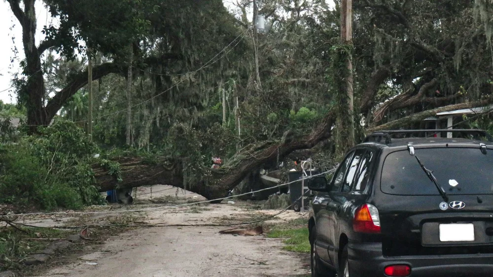 Collapsed tree blocking road in Tampa Florida, damages sustained from hurricane Milton winds taking down powerlines and damaging house - Erok Mule | Unsplash