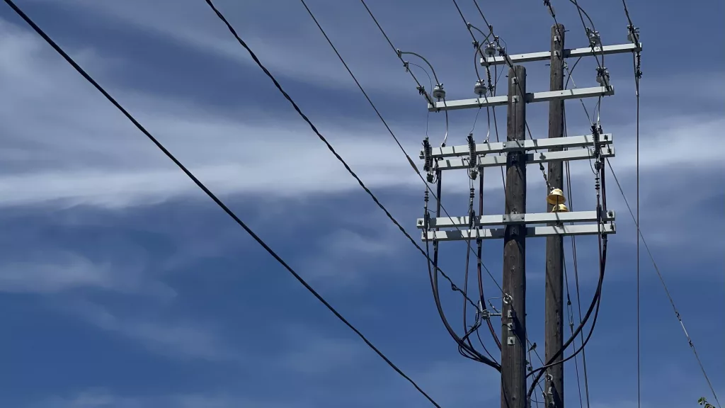 Power Poles -Victoria Johnson 2025 Dailyfly News