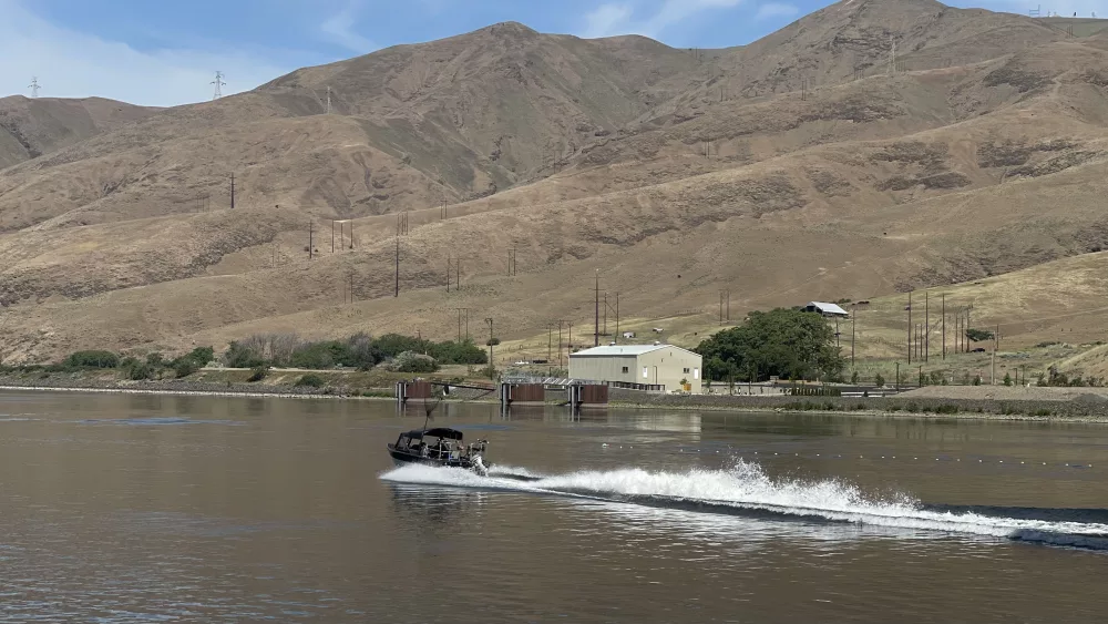 Clearwater River Fishing -Victoria Johnson 2025 Dailyfly News