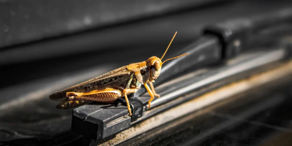 Photo by Zoshua Colah on Unsplash