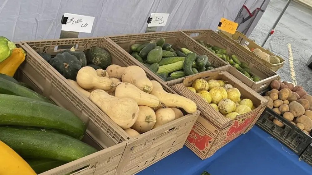 Lewiston Farmers Market