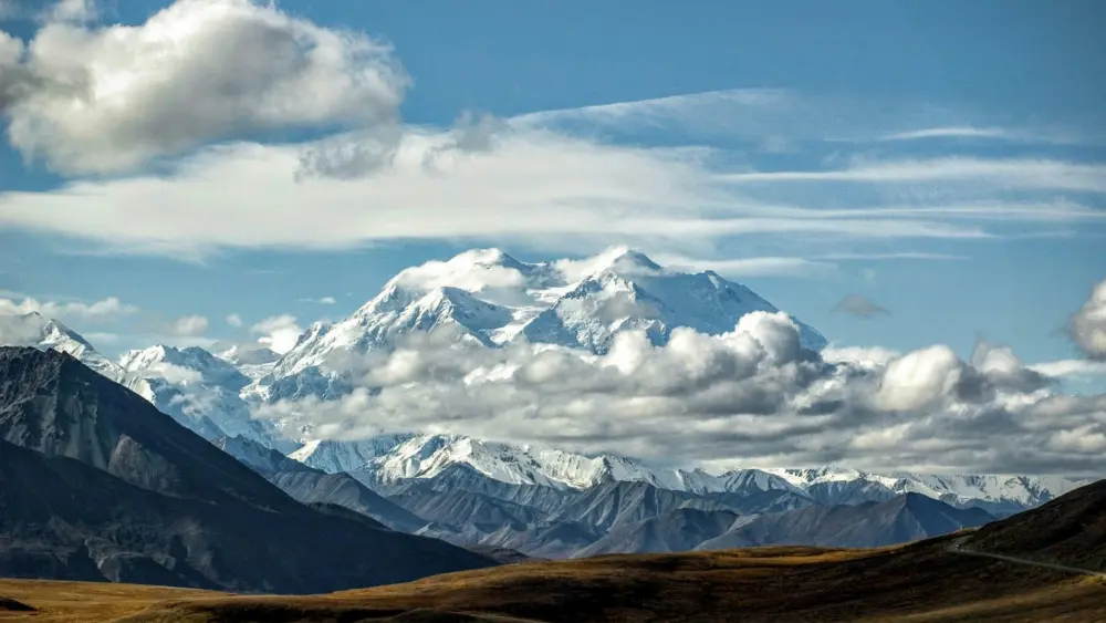 Photo by Patrick Federi on Unsplash