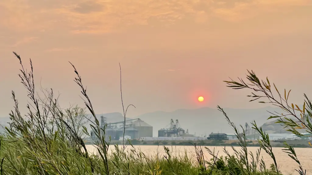 Smoky Sunset Redwolf Marina - Victoria Johnson 2025 Dailyfly News