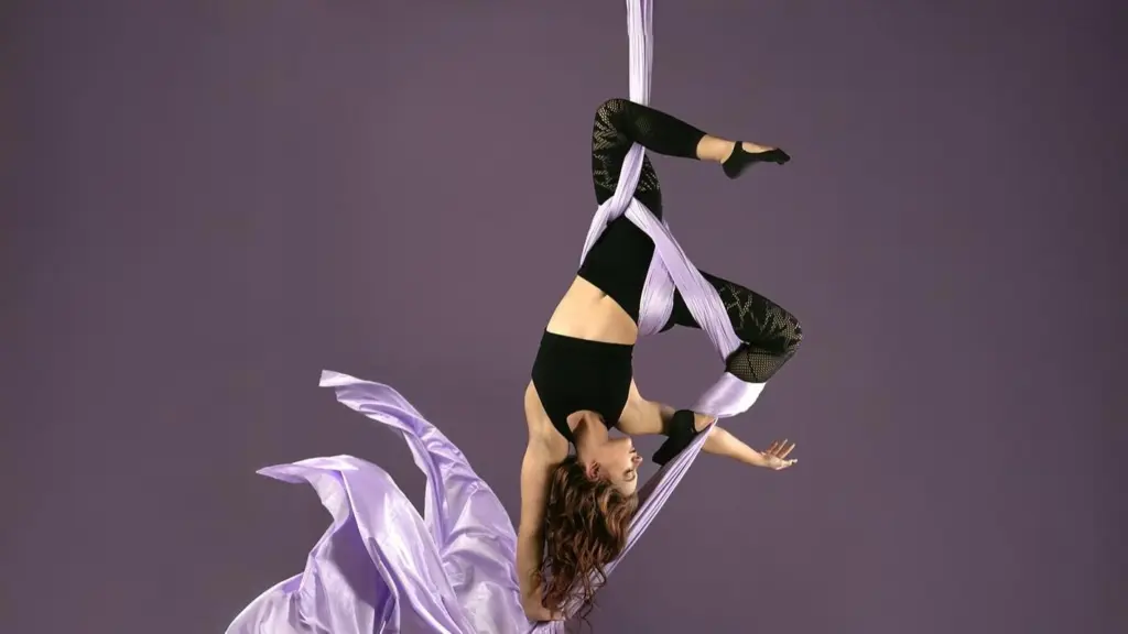Skills students will be taught at U of I's aerial arts camp.