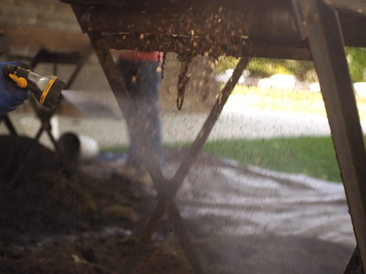 Archaeologists employ misting to mitigate the dispersion of potentially harmful particles. At the Assayer’s Office site, the soil is contaminated with lead, requiring the use of safety procedures like misting and nitrile gloves. (Kaeden Lincoln/IdahoEdNews)