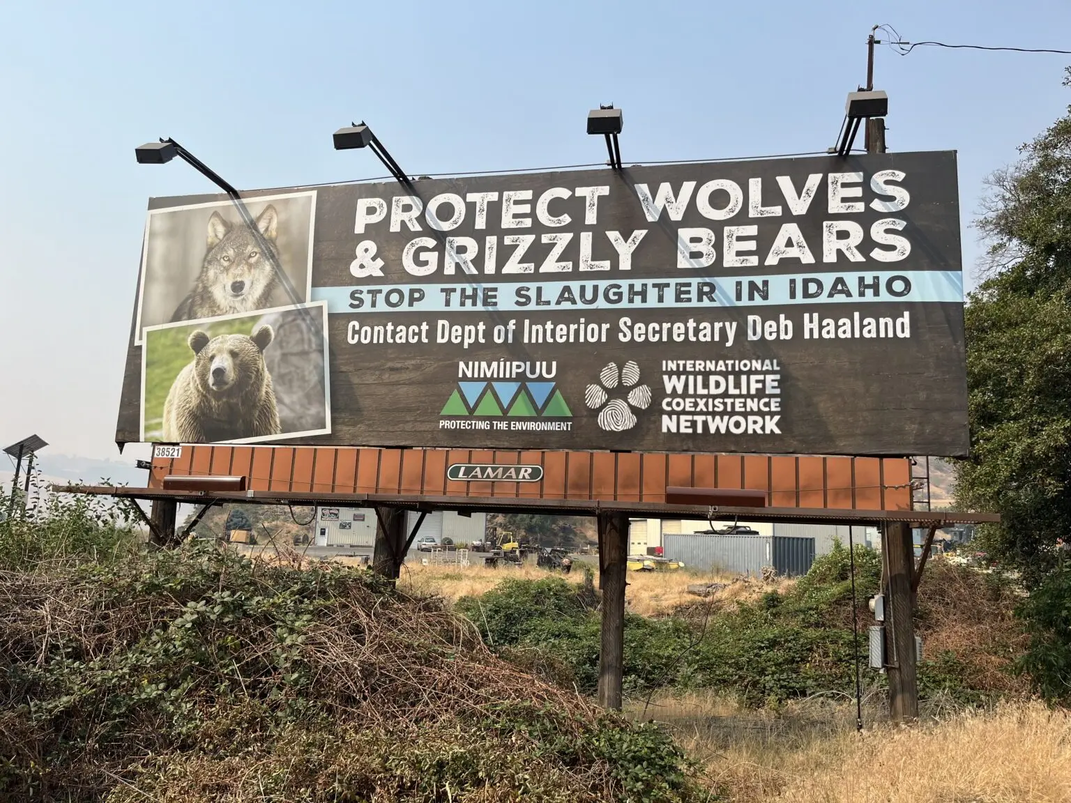 A billboard near the Nez Perce Reservation in Lapwai, Idaho, encourages people to protect wolves and grizzly bears. (Photo by Clark Corbin/Idaho Capital Sun)