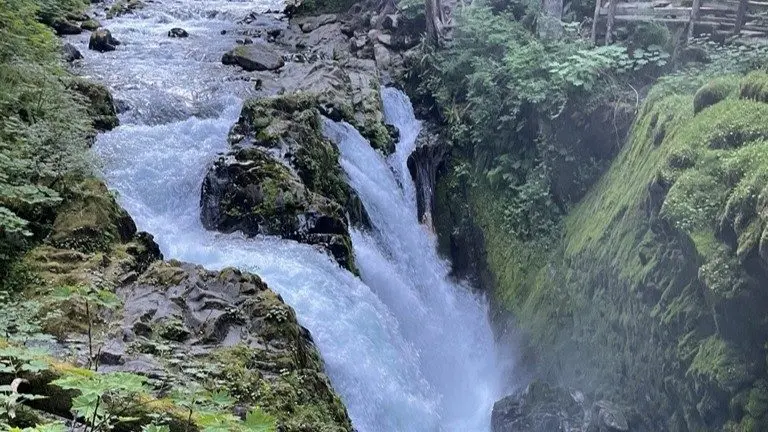 Olympic National Park Search