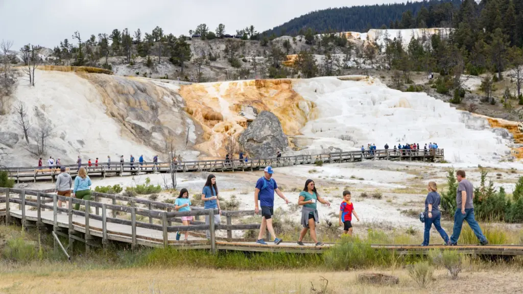 People exploring the boardwalks in Mammoth Hot Springs NPS / Jacob W. Frank