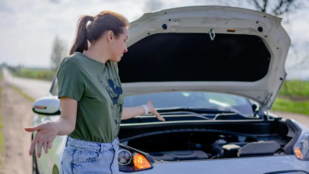 Stranded Motorist