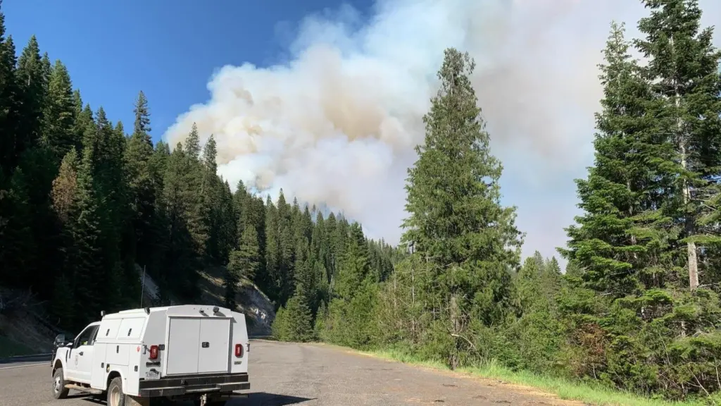 Post Fire