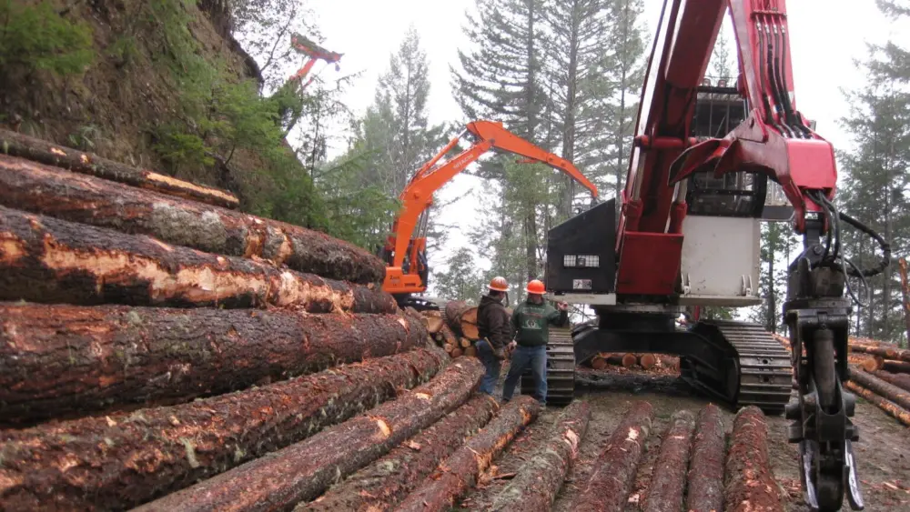 The U.S. Forest Service’s “Secure Rural Schools and Self-Determination Program,” was initially crafted in 2000 to help offset the loss of timber revenue in rural counties. (Bureau of Land Management/Flickr)