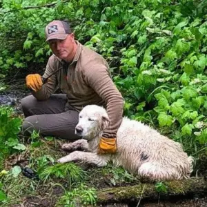 Oregon Dog Rescue 6-21-25