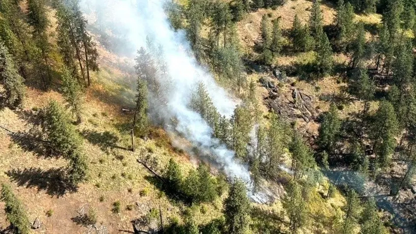 Old Greer Fire