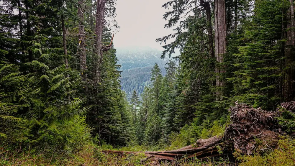 Photo by Pavł Polø on Unsplash