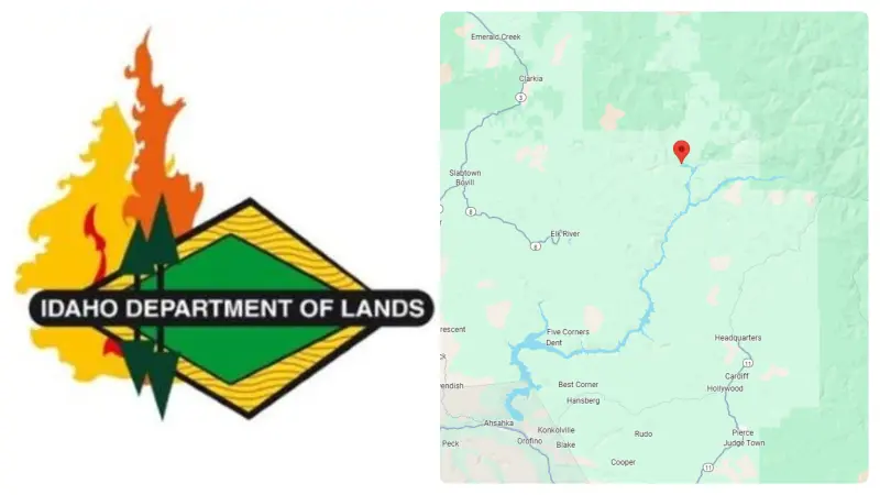 Floodwood State Forest