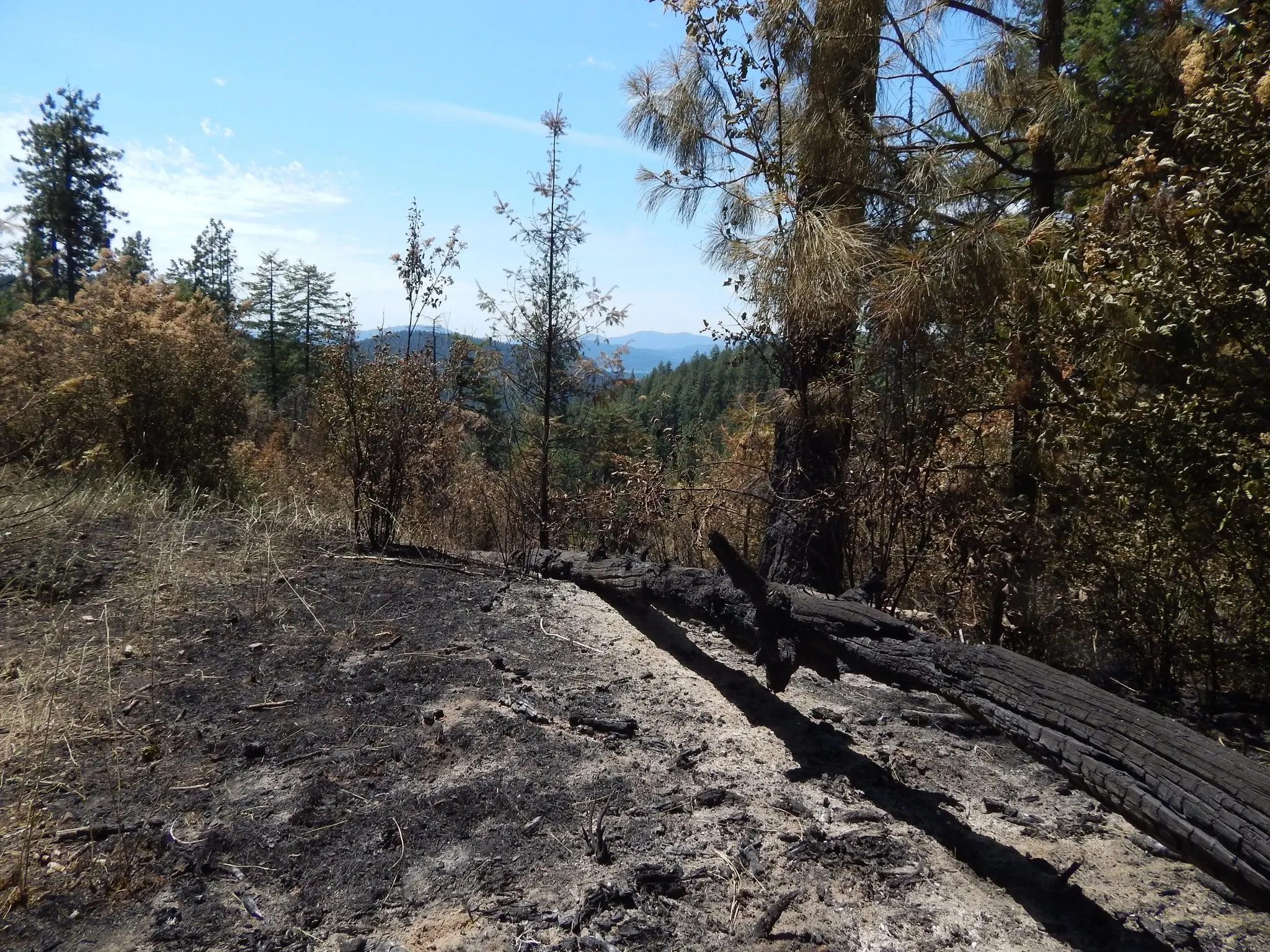 Nettleton Gulch Fire - Idaho Department of Lands