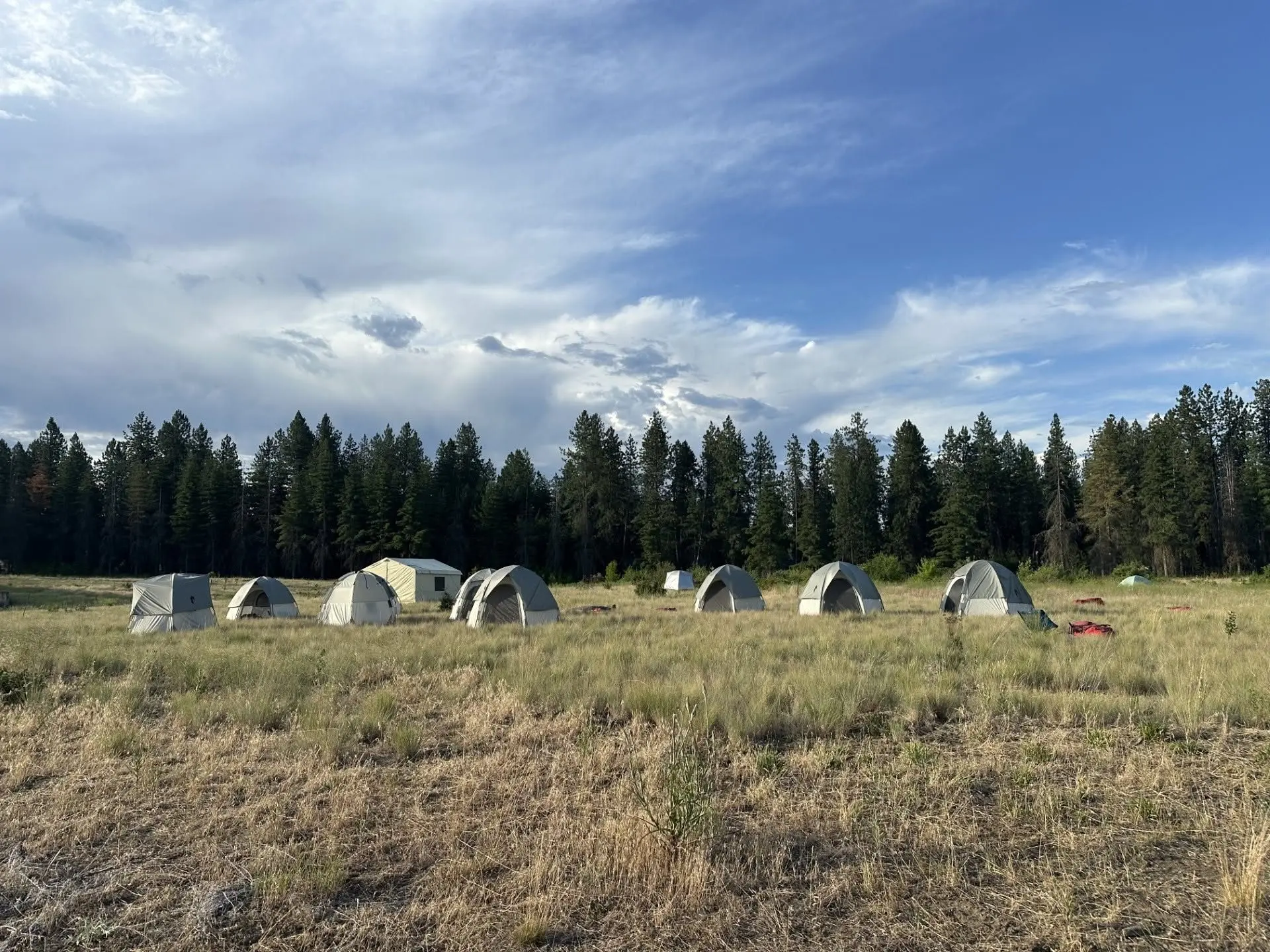Nettleton Gulch Fire - Idaho Department of Lands