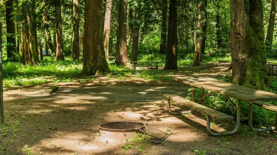 A campground at Paradise Point State Park. (Washington State Parks)