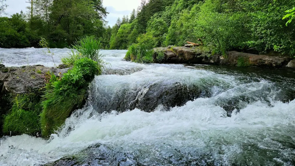 BZ Falls, Washington 141, White Salmon, WA, USA