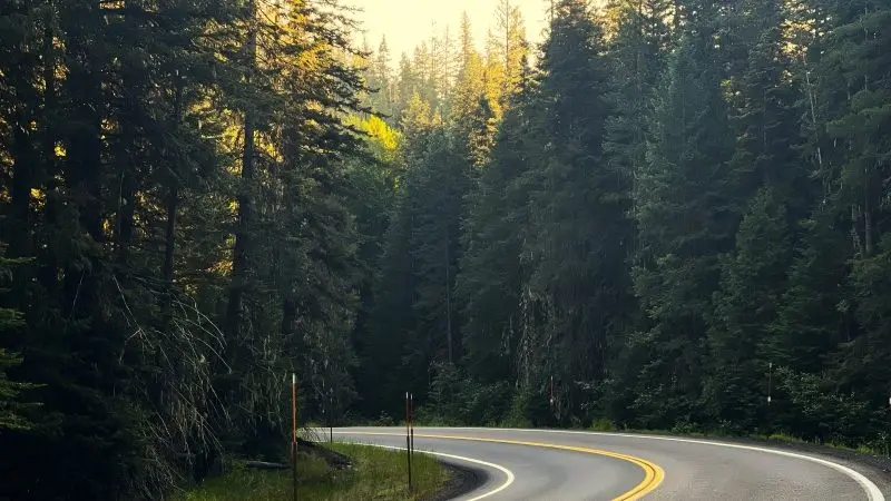 Shoshone County HWY 3 - Victoria Johnson 2025 Dailyfly News