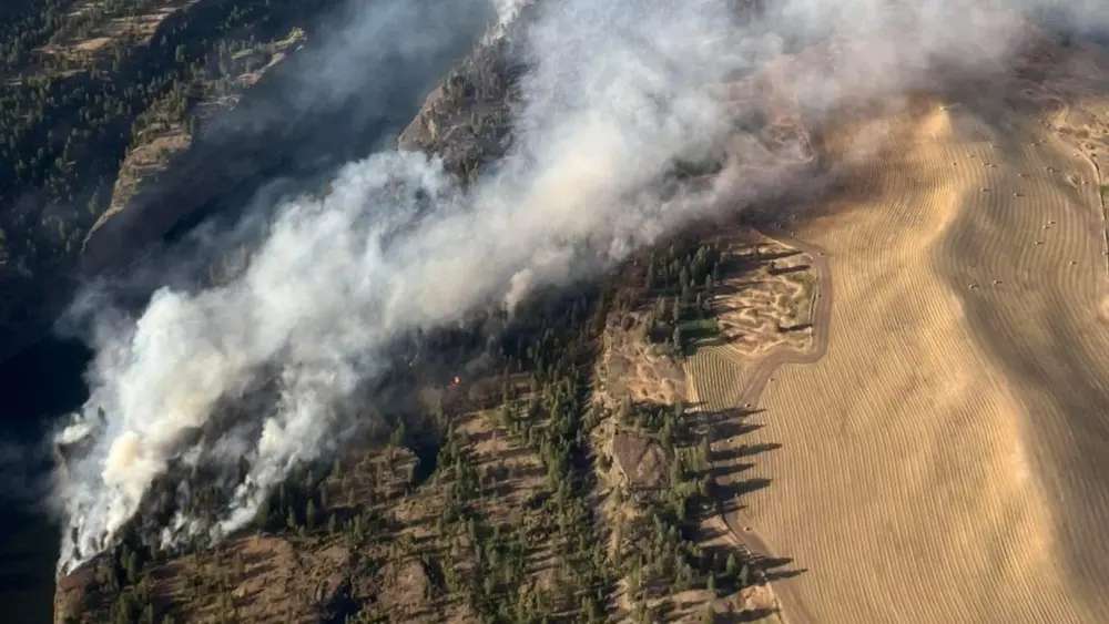 Siegel Fire