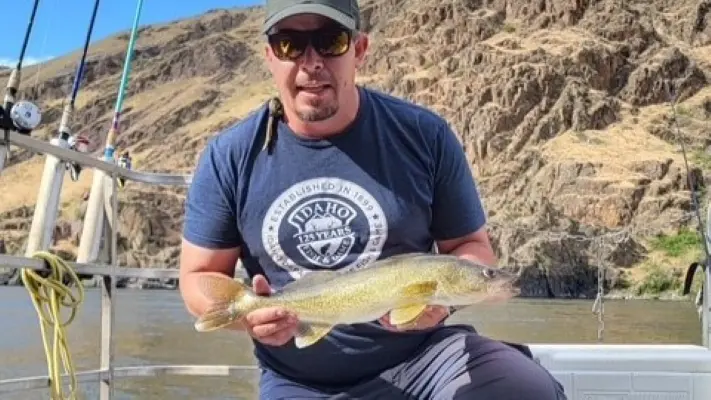Walleye