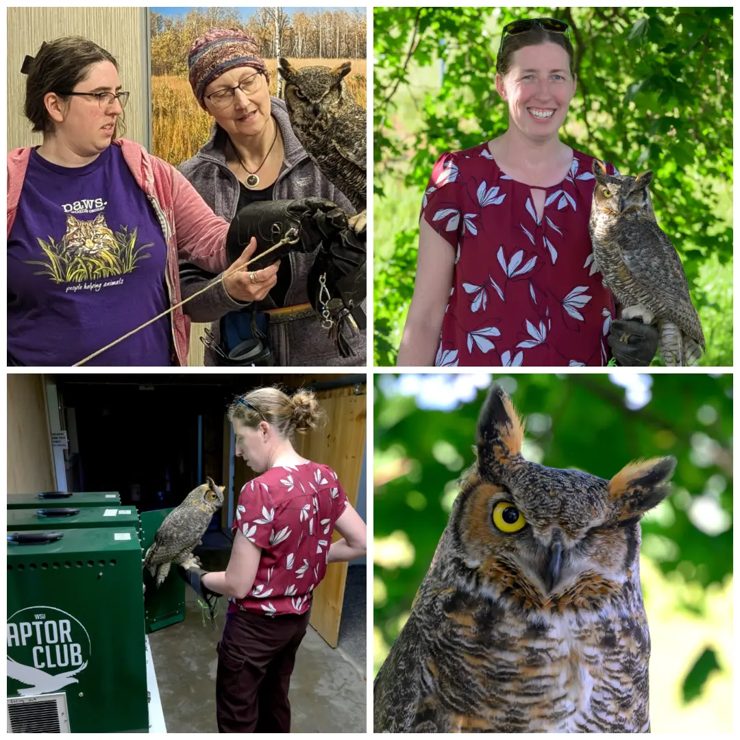 Photos by Marcie Logsdon and Ted S. Warren, College of Veterinary Medicine