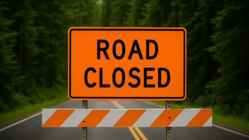 Road Closed Forest