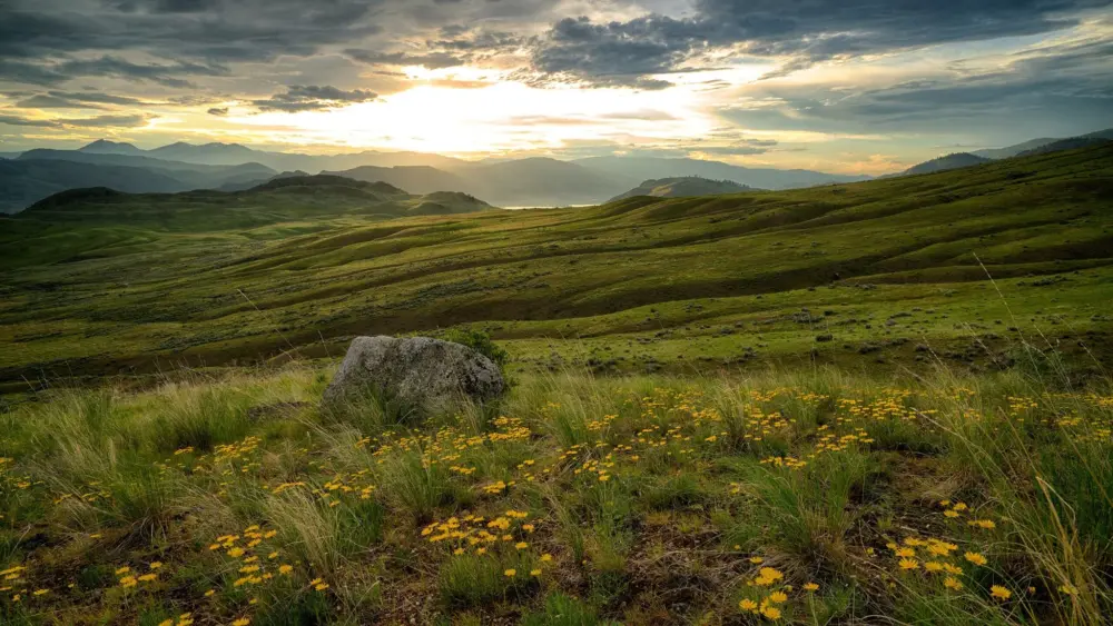 Scotch Creek Wildlife Area