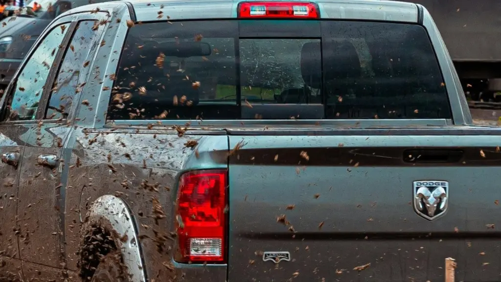 Dodge Ram Pickup