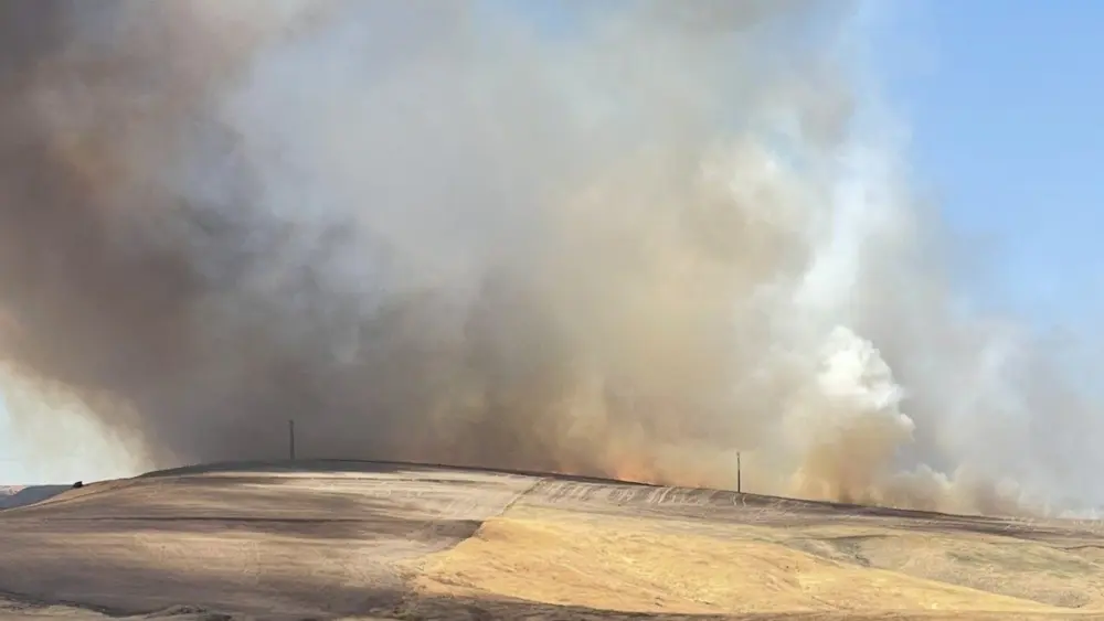 Evans Road Wildfire 7-9-25