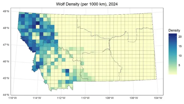 A map showing estimated wolf pack densities in Montana in 2024, per 1,000 square kilometers. (Courtesy FWP)