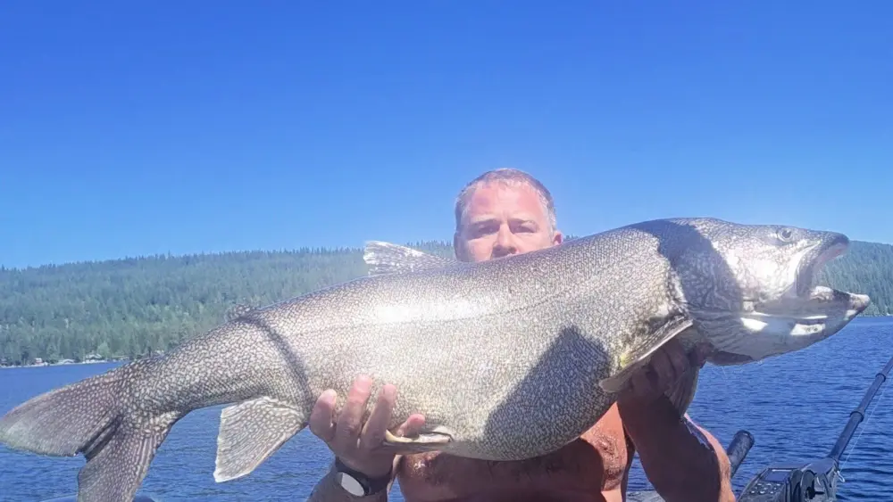 Aaron Goettsche of Stansburry Park, Utah hoists a 42-inch Lake Trout from Payette Lake to clinch a new catch-and-release state record. Photo: IDFG