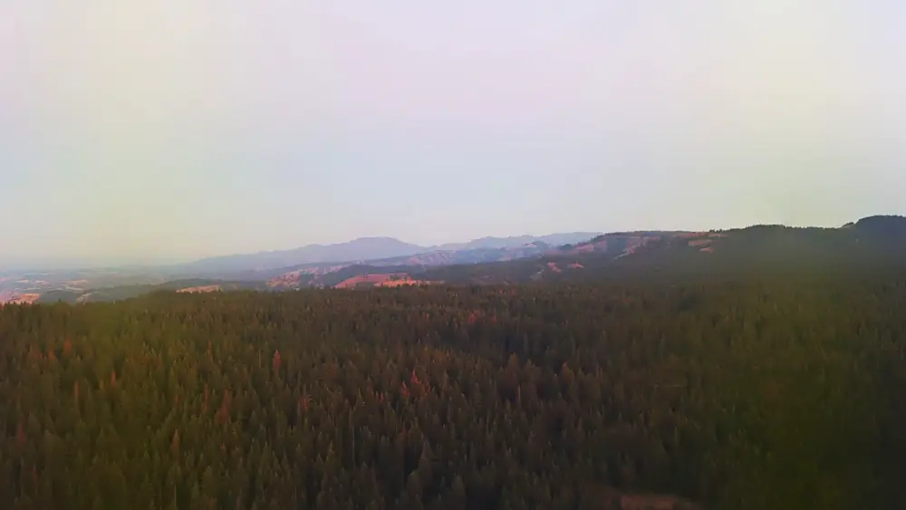 View from Rattlesnake Summit camera in Asotin County on Department of Natural Resources’ “Wildfire Watch” website.