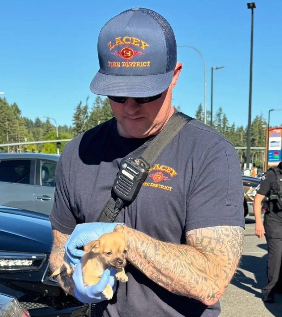 Firefighters Save Puppy With Narcan