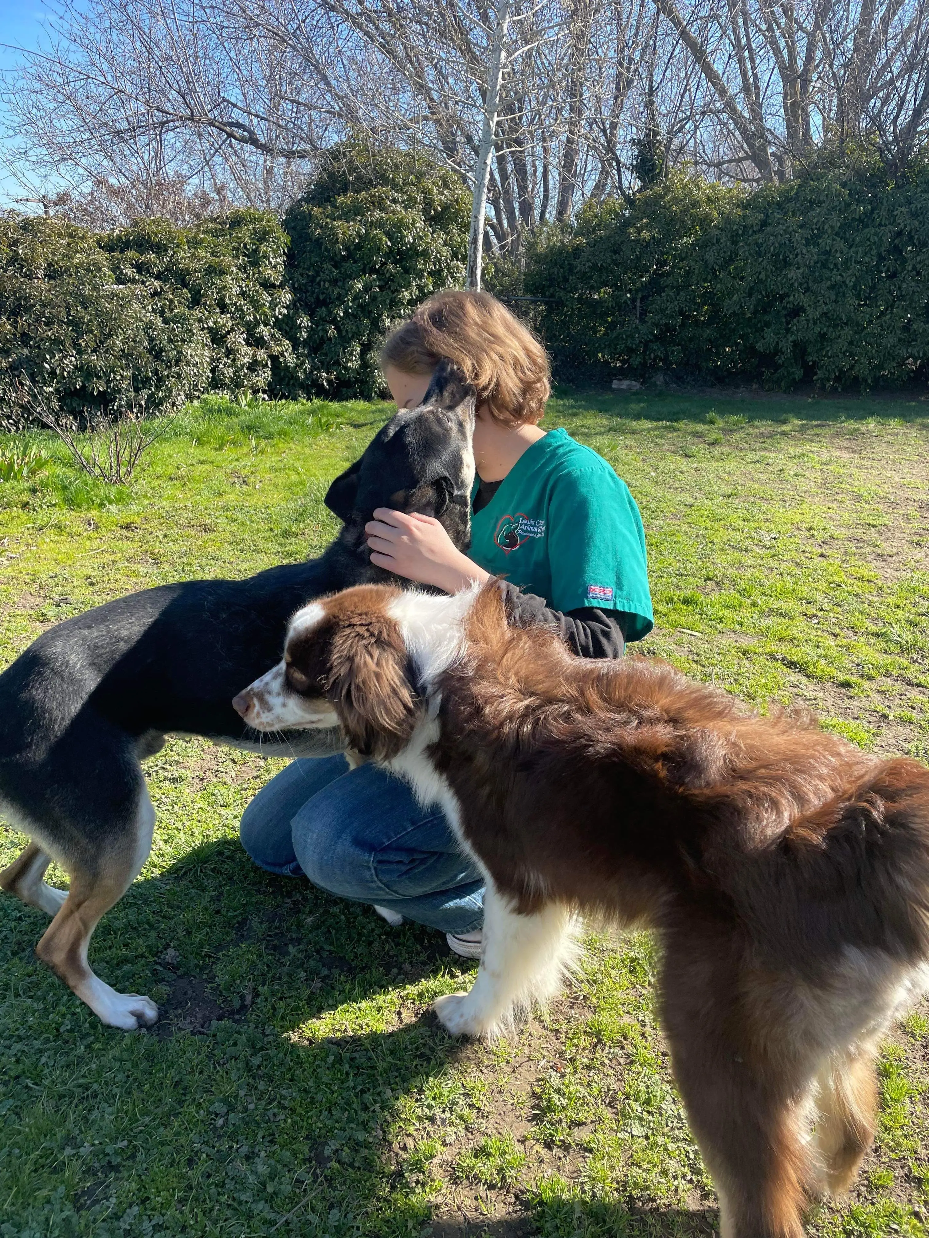 PAWSITIVE START