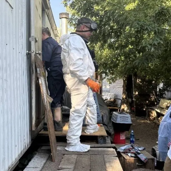 Dogs Rescued 7-17-25