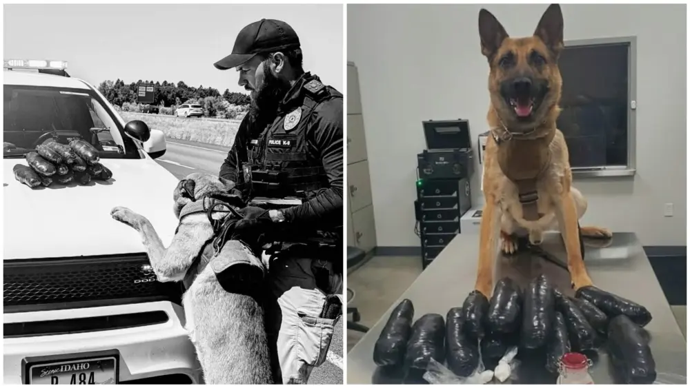 Idaho Falls Police Department