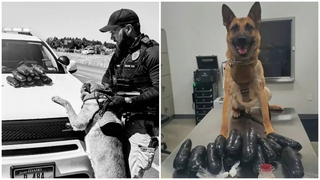 Idaho Falls Police Department