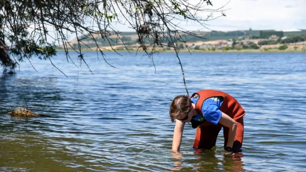 Sarah Roley, associate professor of environmental science in the College of Arts and Sciences at WSU Tri‑Cities, collects samples from the Yakima River in this 2018 photo. Roley co-authored a new paper on a global study finding that freshwater and coastal water produce far more nitrogen than previously known. (Photo by WSU Tri‑Cities Media & Communications)