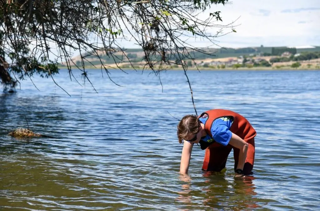 Sarah Roley, associate professor of environmental science in the College of Arts and Sciences at WSU Tri‑Cities, collects samples from the Yakima River in this 2018 photo. Roley co-authored a new paper on a global study finding that freshwater and coastal water produce far more nitrogen than previously known. (Photo by WSU Tri‑Cities Media & Communications)