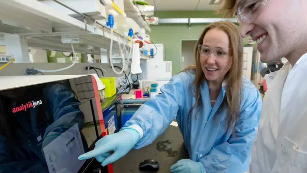 Brayden Olsen, an undergraduate microbiology student, right, works in a research lab as Heather Koehler, left, an assistant professor in the School of Molecular Biosciences in WSU's College of Veterinary Medicine, looks on, Thursday, March 7, 2024, in Pullman. (Photo by College of Veterinary Medicine/Ted S. Warren)
