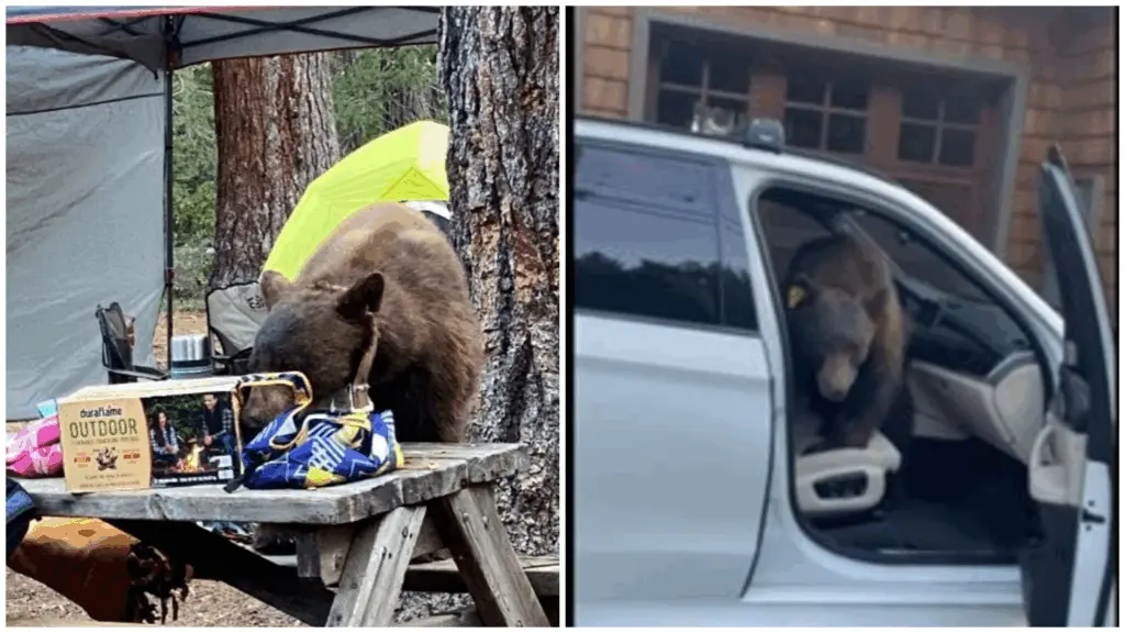 California Department of Fish and Wildlife