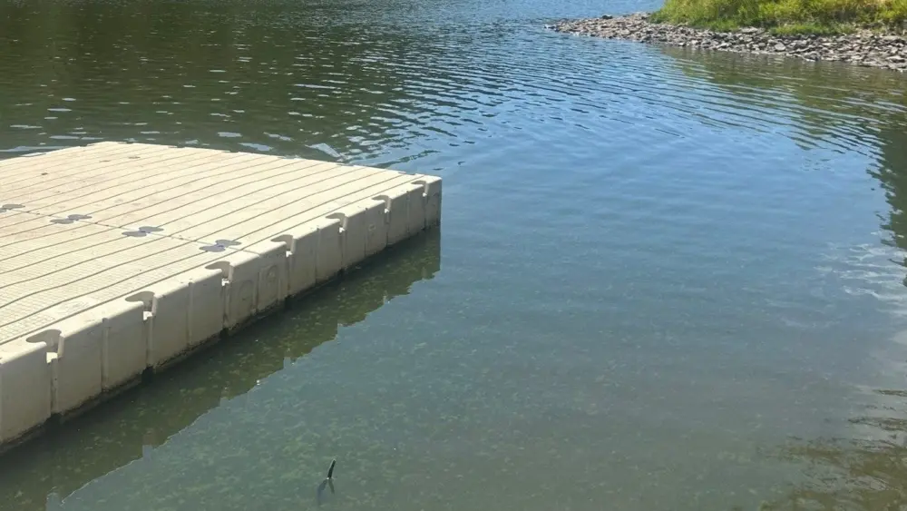 Algal Blooms at Winchester Lake